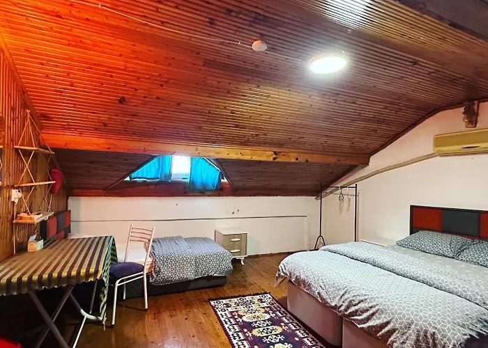 Elite * 费特希耶