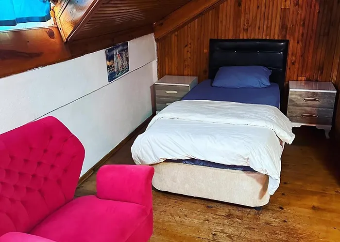 Elite * 费特希耶